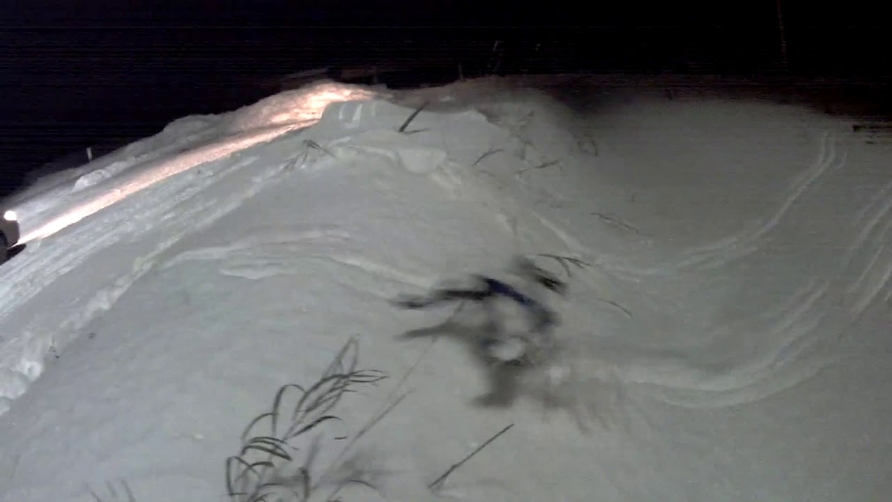 Short montage SR Viper Mod