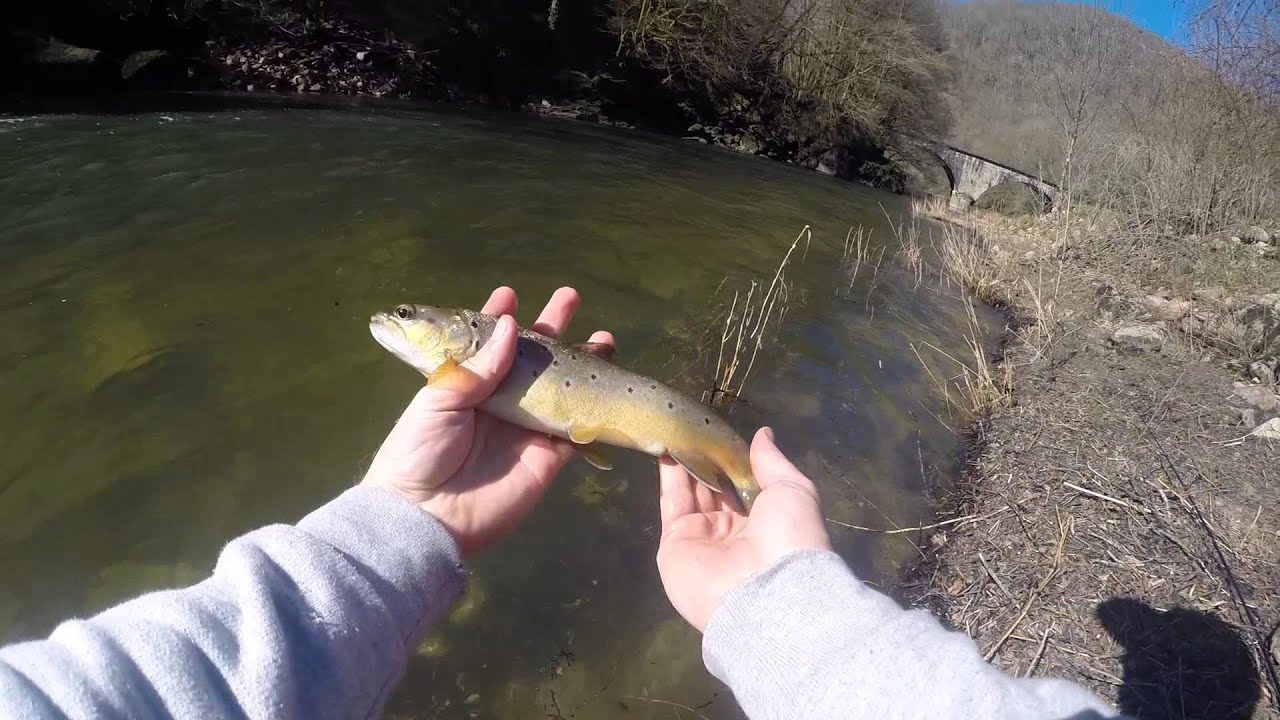 Pêche BELLE FARIO aux Leurres sur La Cère en HD avec Baroudeur Fishing
