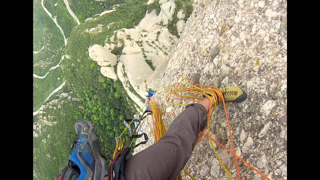 Punsola Reniu Gopro (cavall bernat)