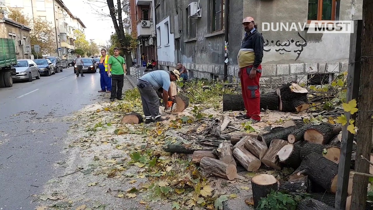 Защо Община Русе нарушава обществения ред?