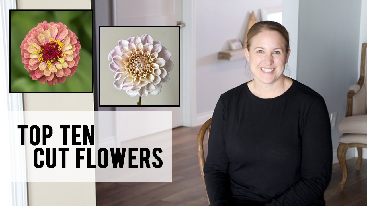 My Top Ten Cut Flowers that I grew for the Farmer's Market in 2021, Zone 5A