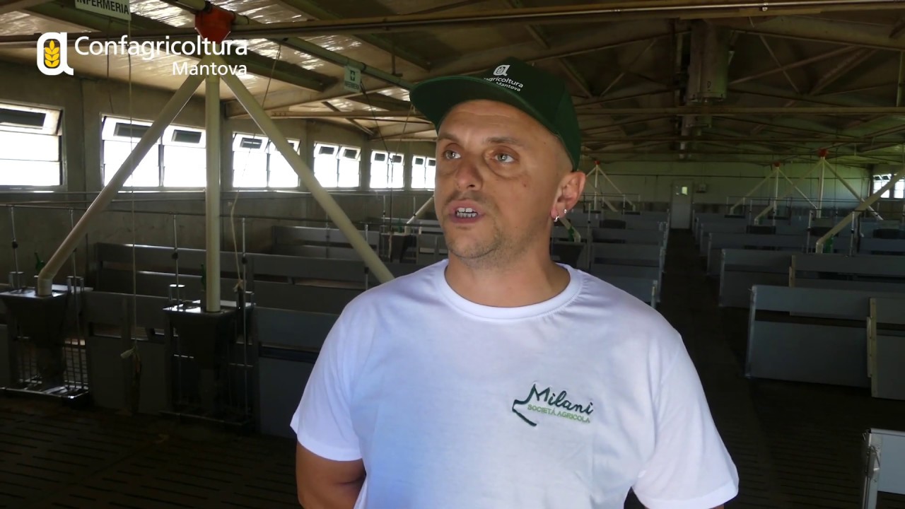 Azienda Agricola Bianchera - Dalle vacche da latte ai suini: scelta vincente