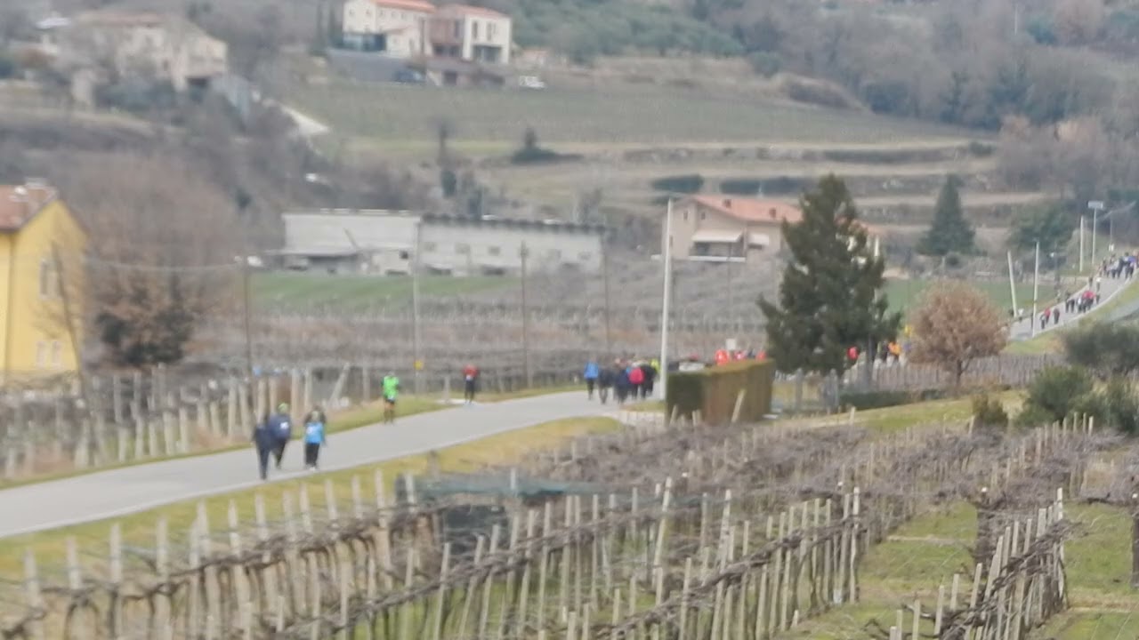 49Montefortiana Percorso via Monti Soave.