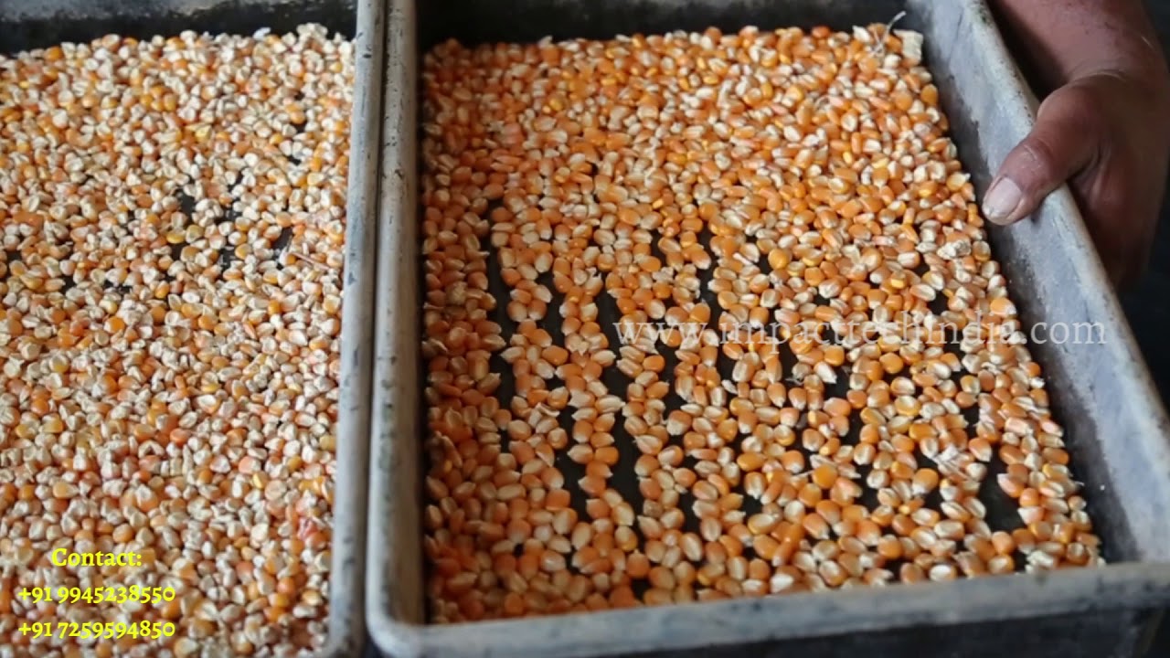 Hydroponic Green Fodder Unit -Kannada Version Impact Technologies