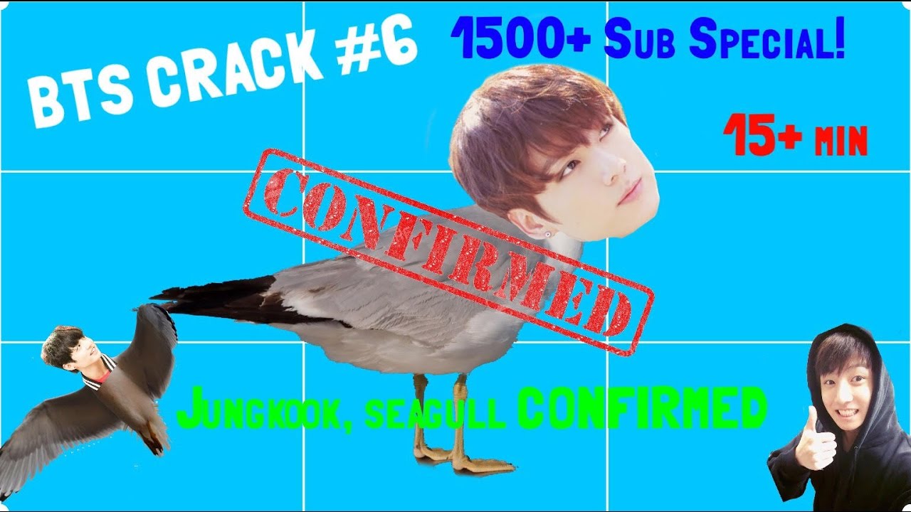 BTS CRACK #6 15 MIN 1500+ sub special! { Jungkook Seagull Confirmed }