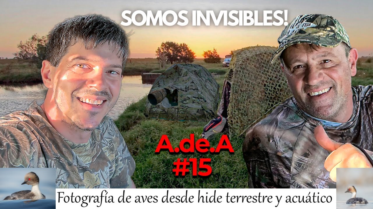 INCREIBLES FOTOGRAFIAS DE AVES DESDE UN HIDE