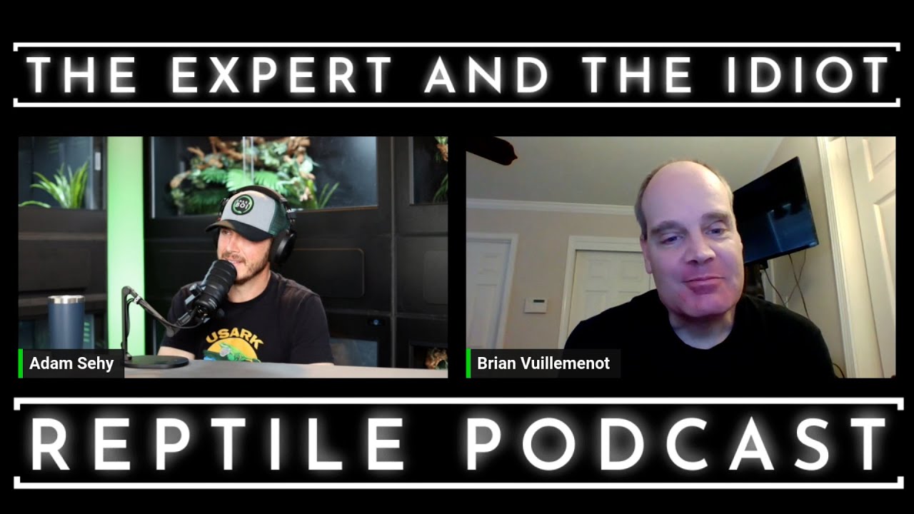 26 - Brian Vuillemenot of Brian Boas - The Expert and The Idiot - A Reptile Podcast