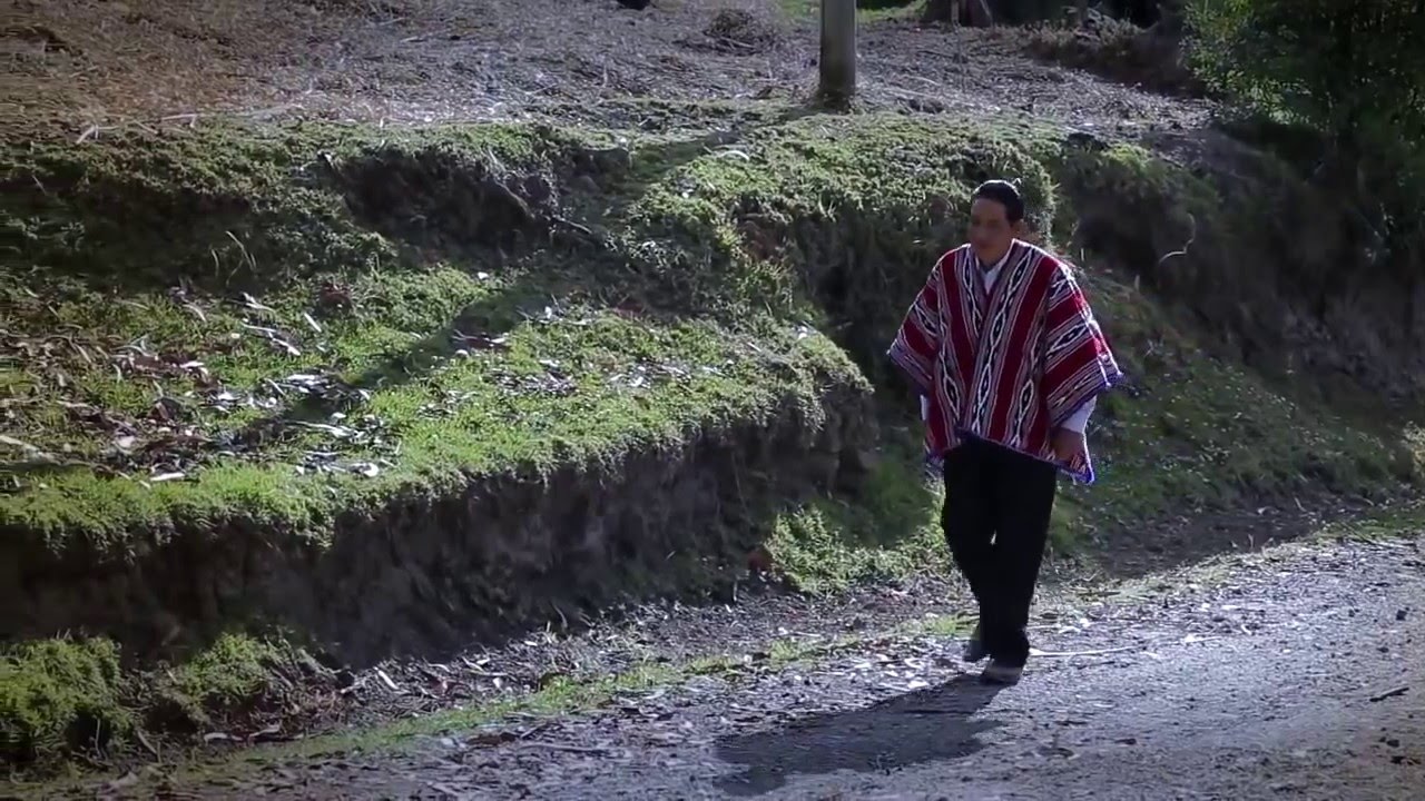 PERDONAME  DIOS MIO  -  (CORO  LA  VID  VERDADERA)