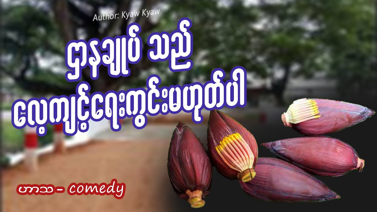 ဌာနချုပ်သည် လေ့ကျင့်ရေးကွင်း မဟုတ်ပါ (ဟာသ - comedy) #meanwhileinmyanmar #funny #fail #miwyne #ဟာသ