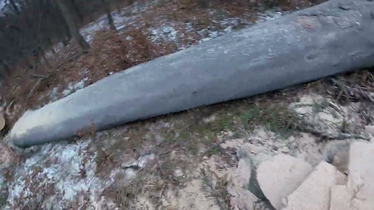 Český TraktorVlog 8 26 Přibližování macatého bůčku