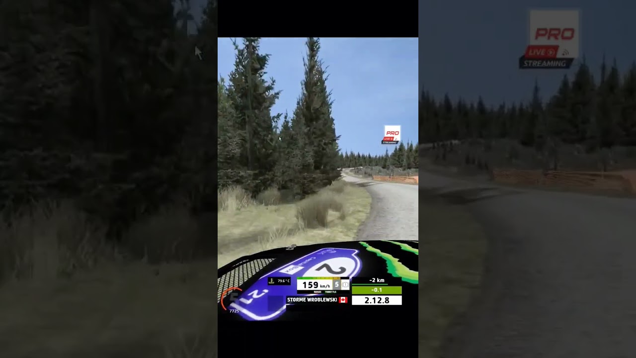 RBR is still the best Rally Sim