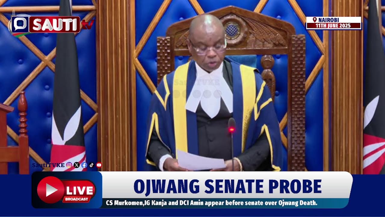LIVE: Fireworks as Senate Probes Murder of Albert Ojwang in Central Police Station