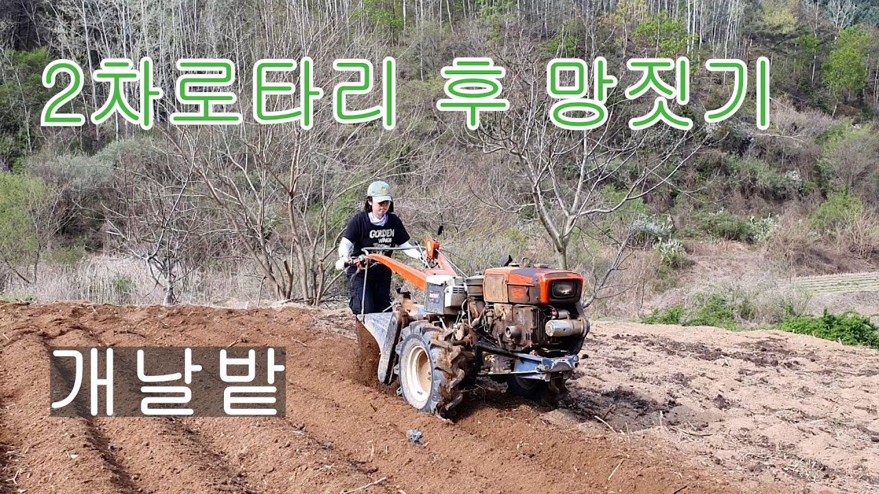 4.23 개날밭 경운기2차로타리 후 고추 망짓기