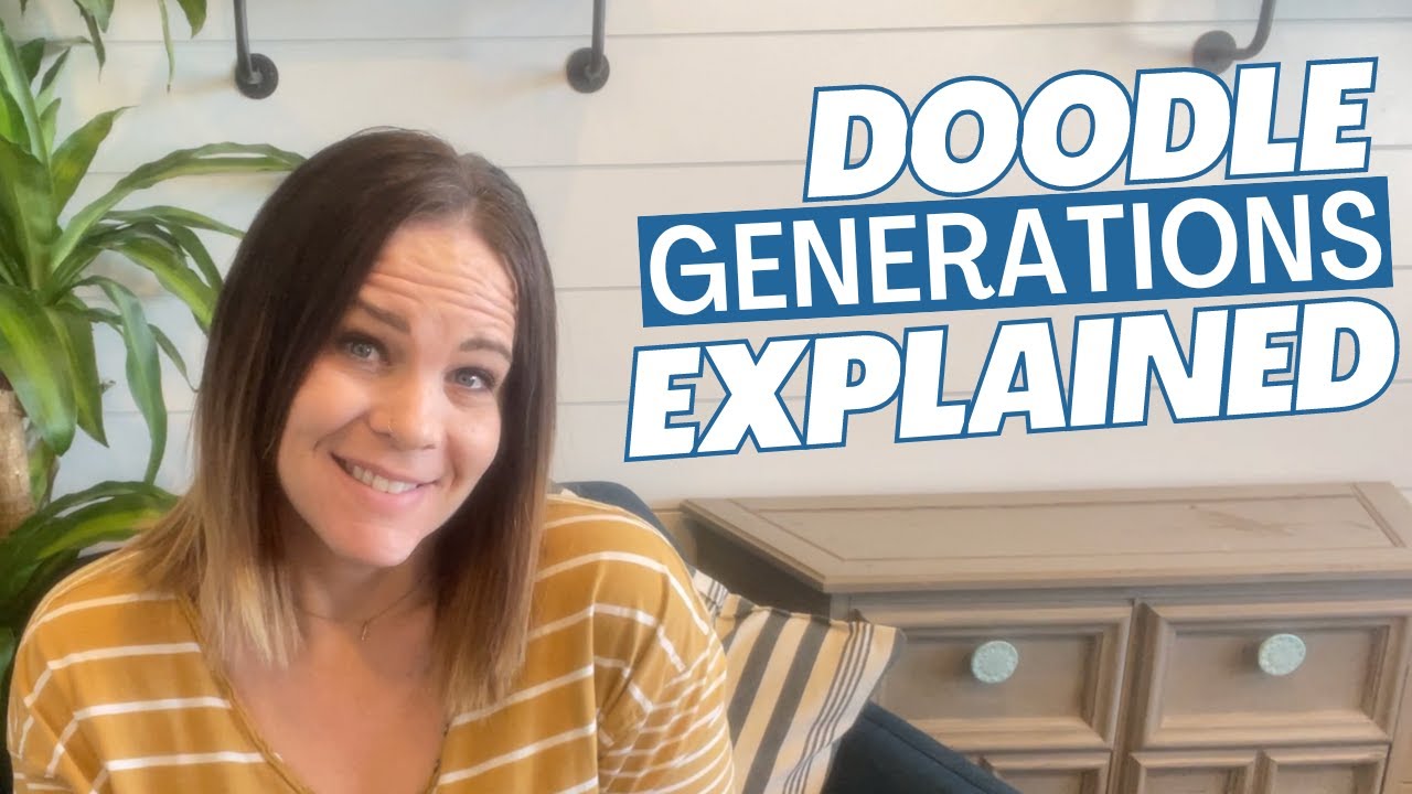 I'm so confused! F1, F1b, F1bb....what does it mean? Doodle Generations explained | Goldendoodles