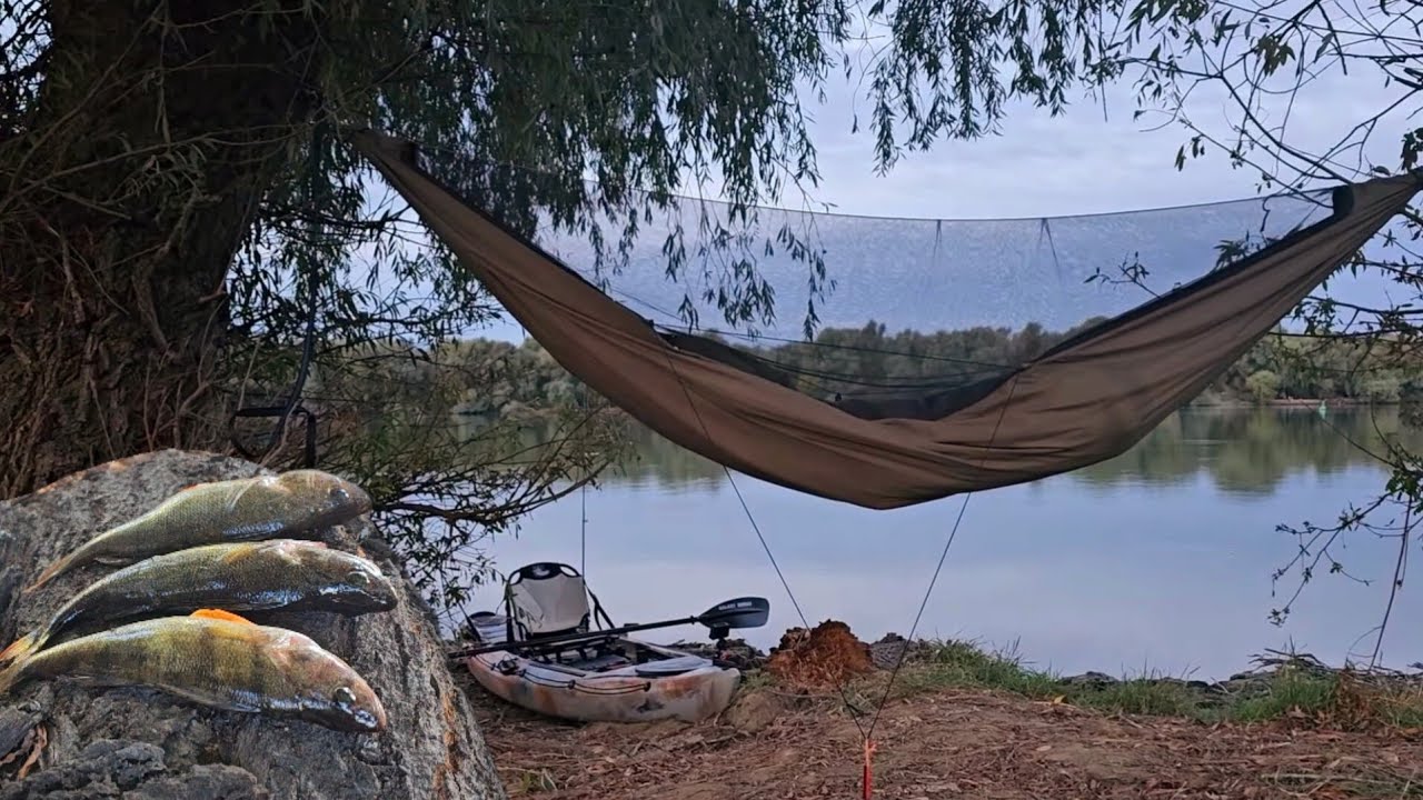 🎣 4 ZILE în DELTA DUNĂRII - Explorăm sălbăticia, dormim in HAMAC și MÂNCAM CE PRINDEM (Prima parte)
