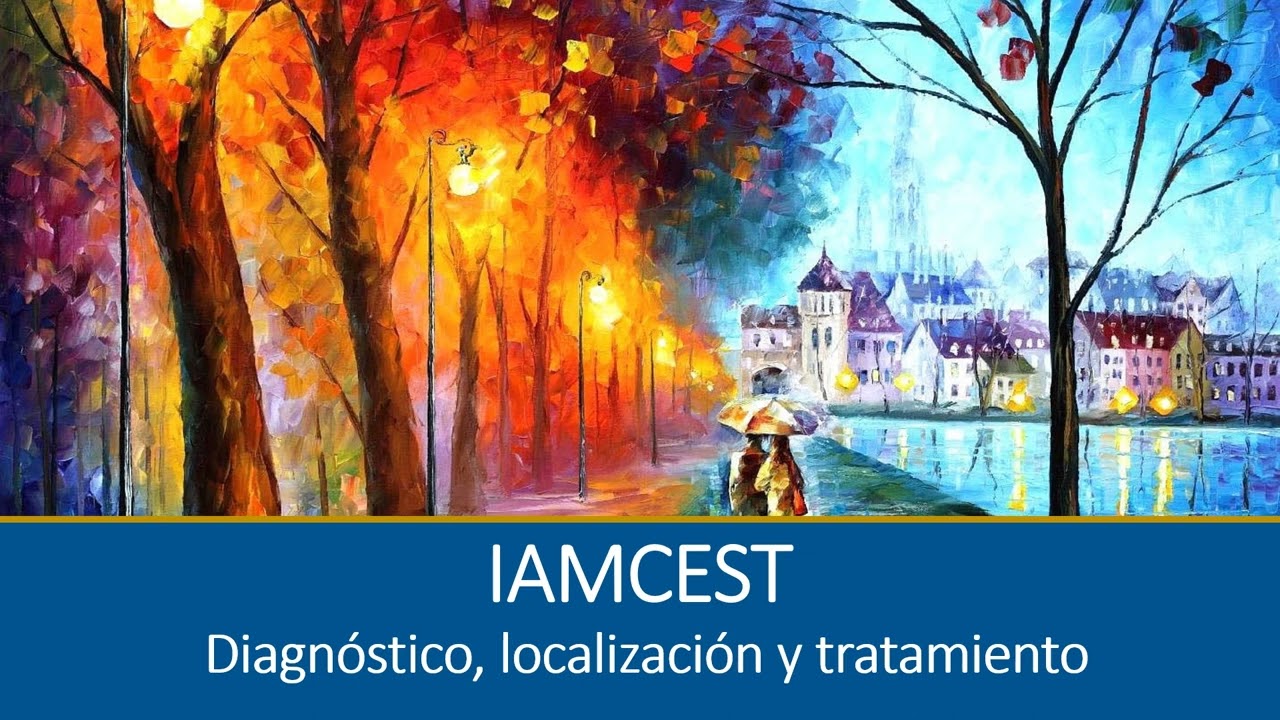 IAMCEST