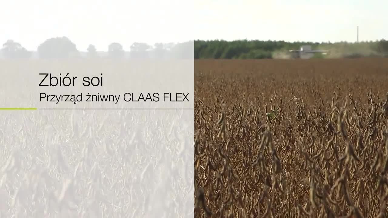 Zbiór soi. Przyrząd żniwny CLAAS FLEX. / 2015
