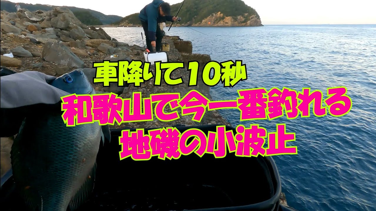 【和歌山釣り】グレがよく釣れる地磯の小さな波止