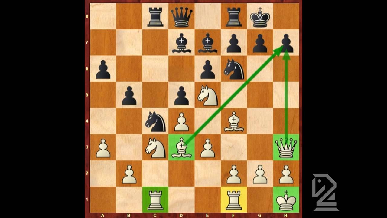 Chess Lesson For Beginners: Overloading of pieces