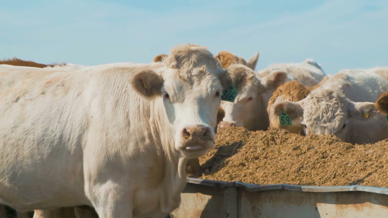Fields to Forks - Western Canada