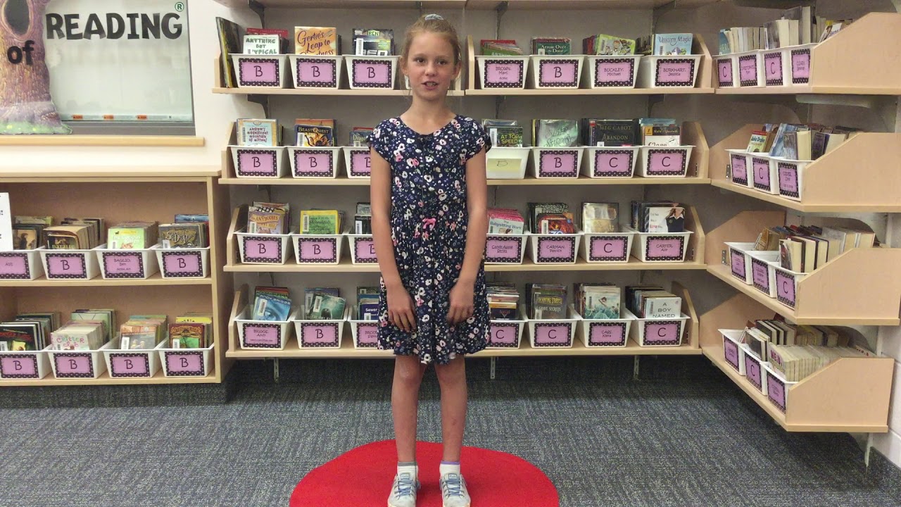 Stray Dog Safety | Meeghan Graham | Wellesley Public School