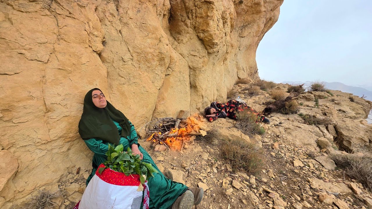 🏔️🌿 Crossing the Tough Zagros Mountains for a Precious Plant | Nomadic Life