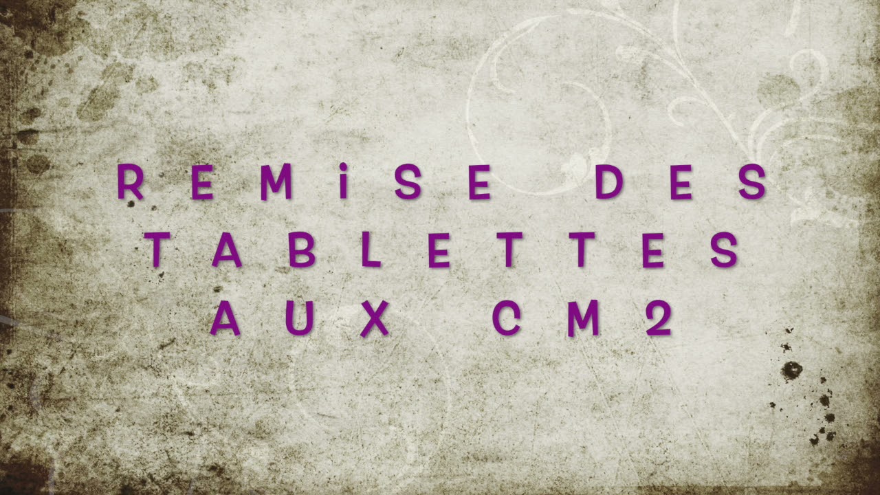 Fête de l'école Pierre Curie 3