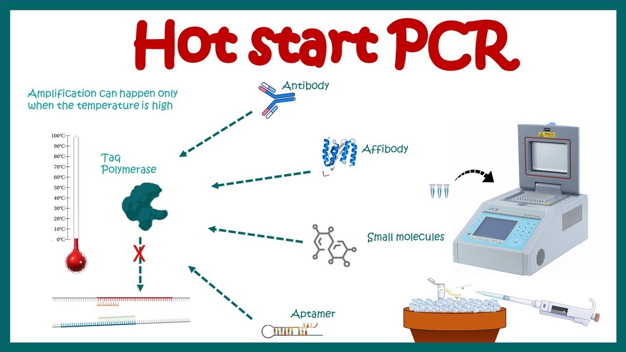 Hot start PCR || principle and usage