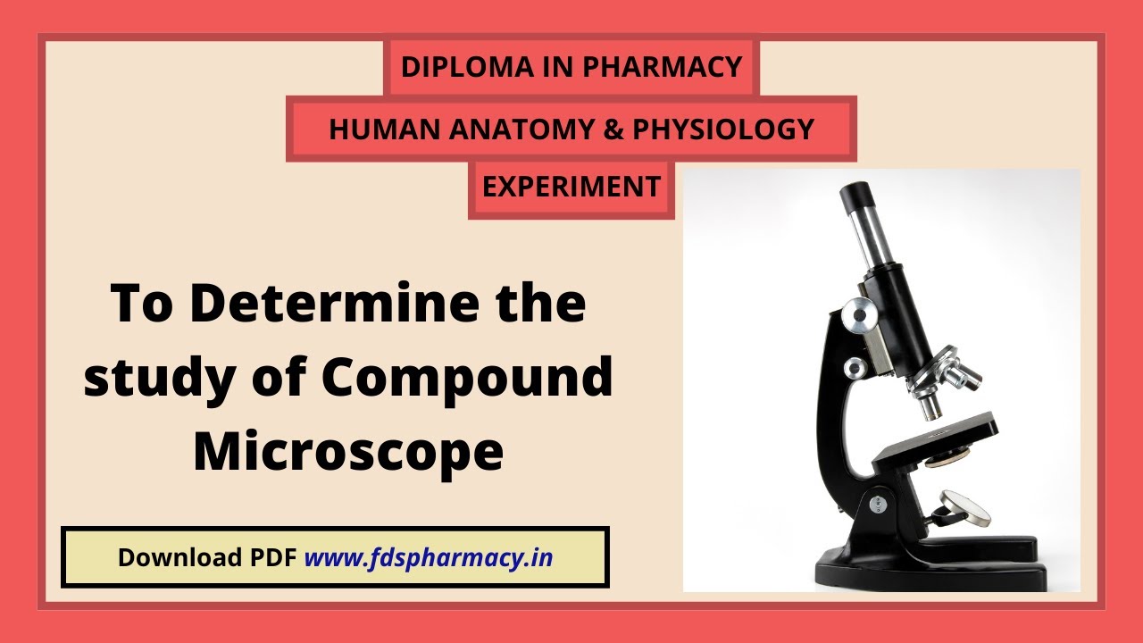 Practical : To determine the study of compound microscope | D.Pharma