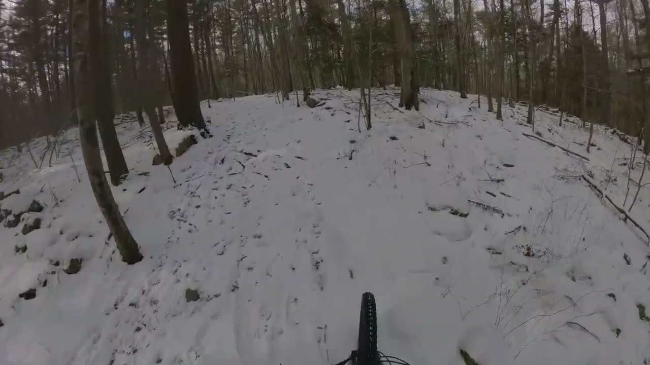 Winter Wonderland at Wompy