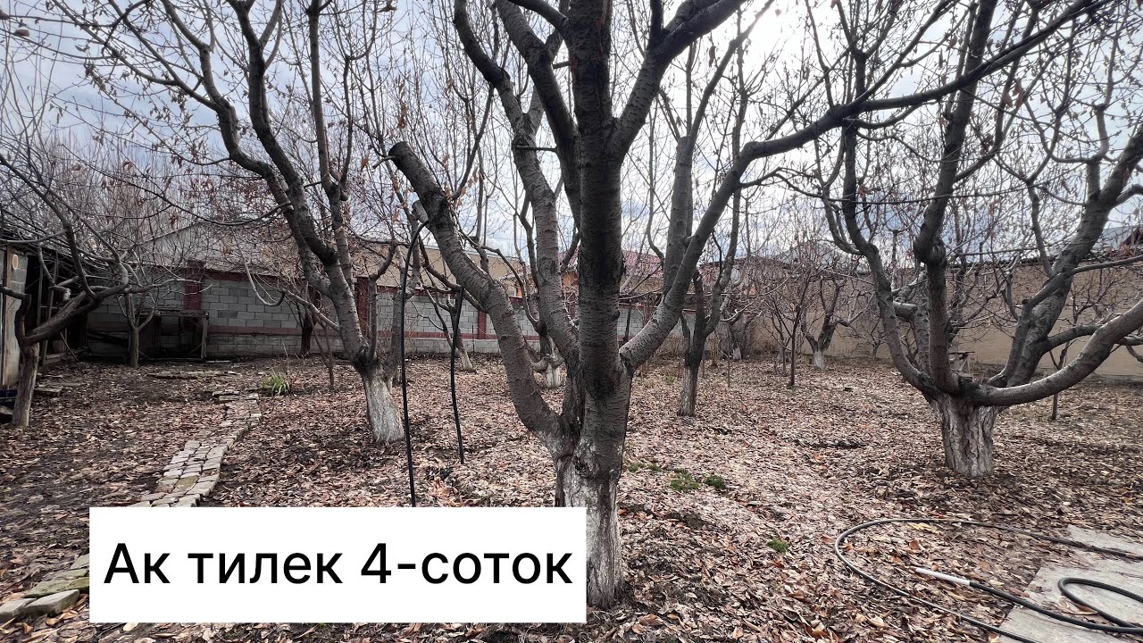 Ак тилек 15-кочо 4-соток баасы97мин$+996 703 720 045