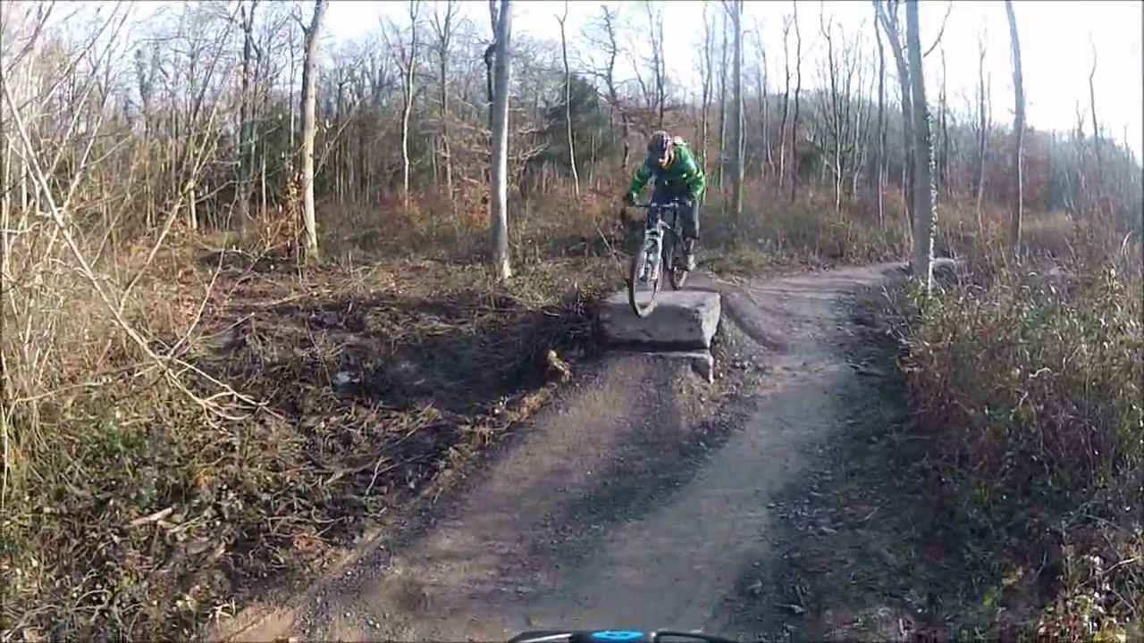 Leigh Woods - Yer Tiz Trail