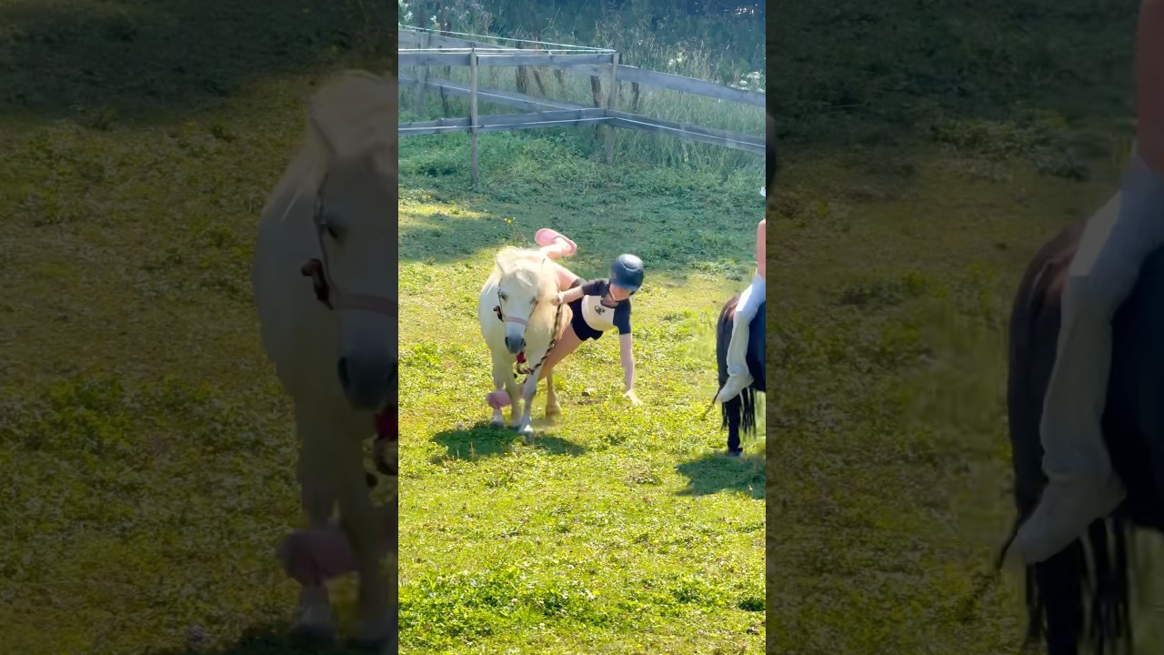 OH NO, wait for it😱😂 #shorts #pony #equestrian #horse