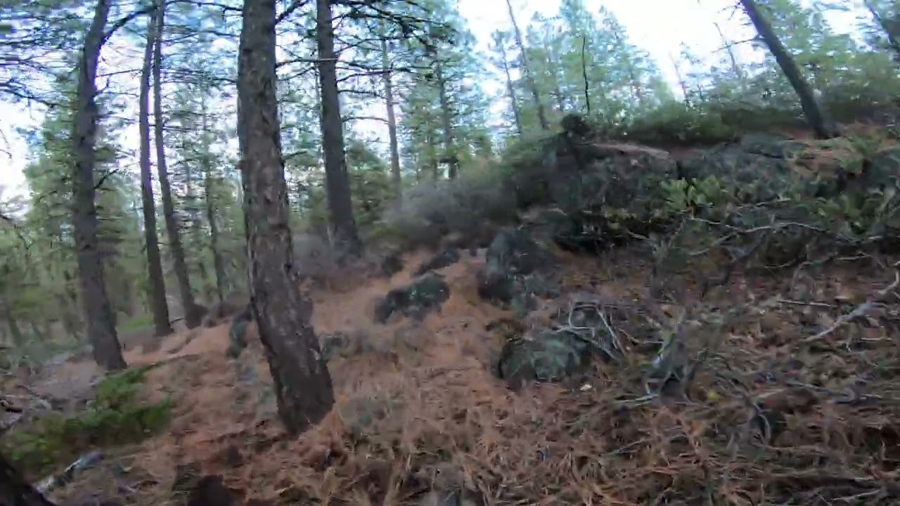 Mountain Bike Bend - Lava Butte Deschutes National Forest