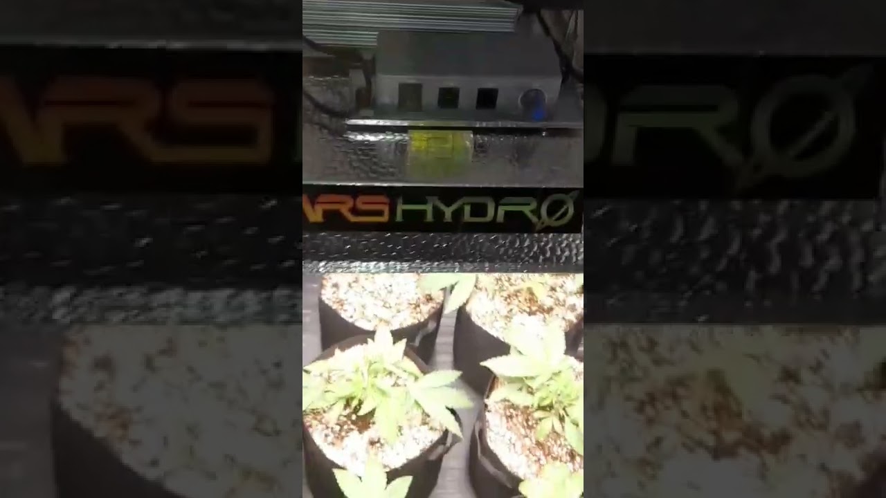MARSHYDRO TSW2000
