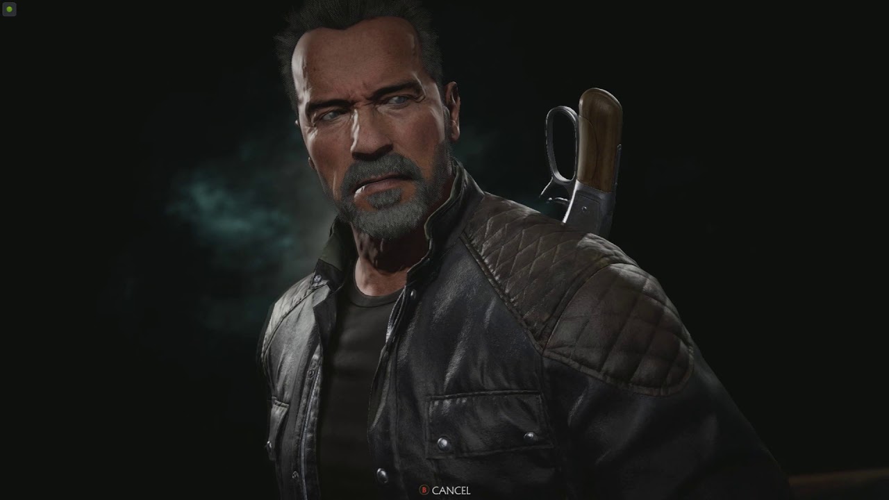 Mortal Kombat 11 Terminator Intros and outros