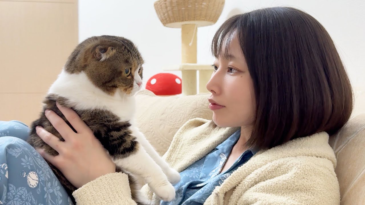 仕事で忙しいママにやっと甘えられた猫がこうなったw