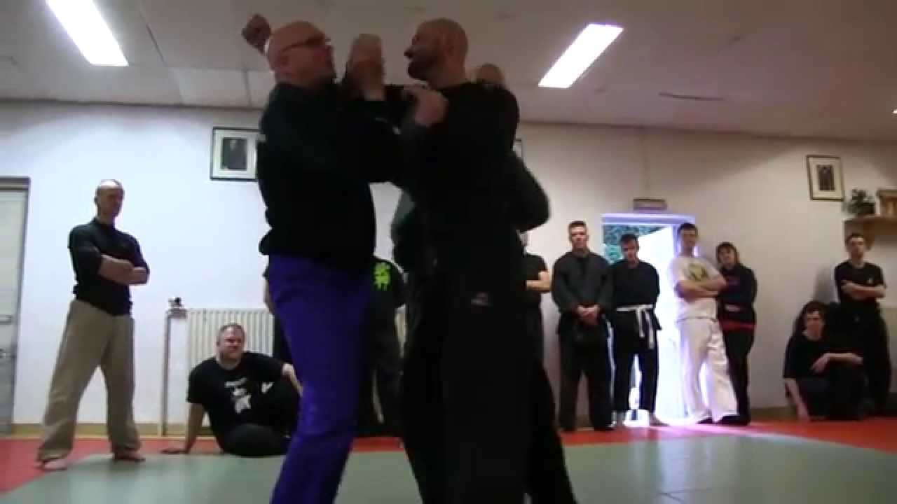 Bujinkan meets Systema 2 trailer