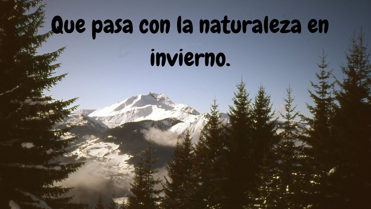 Qué pasa con la naturaleza en invierno?