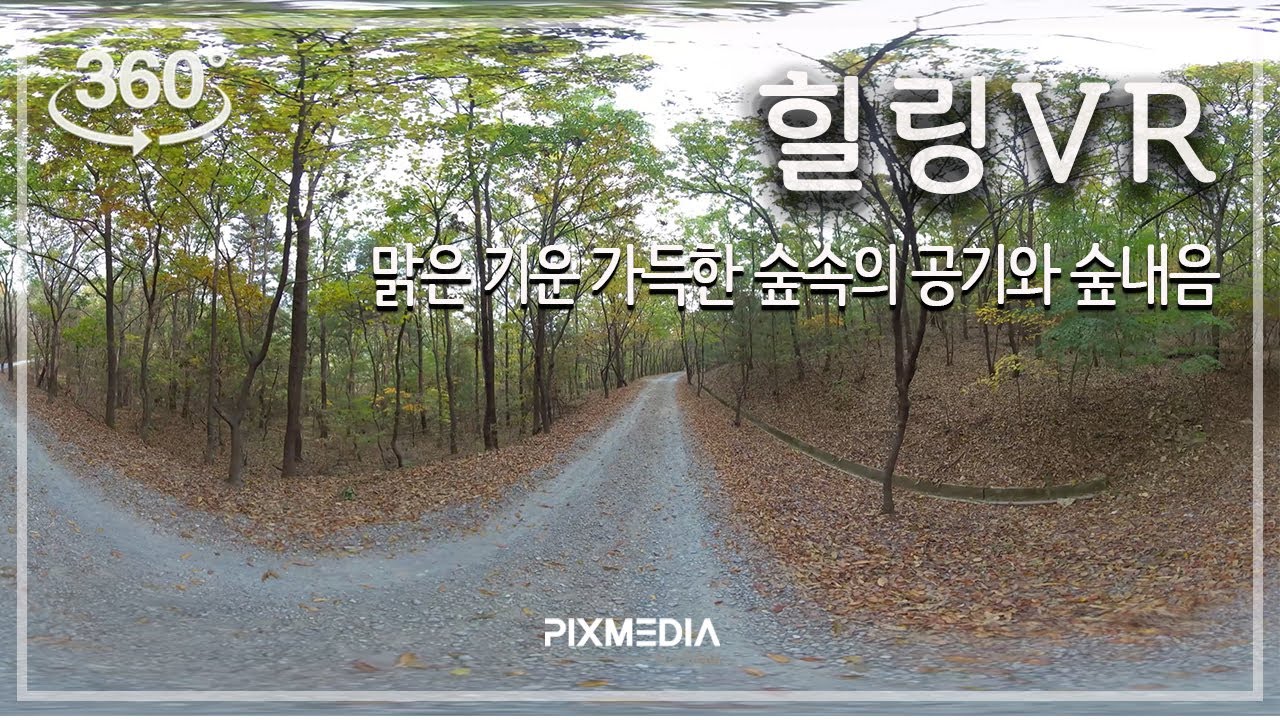 [힐링VR 25]  숲체험 VR (ASMR)