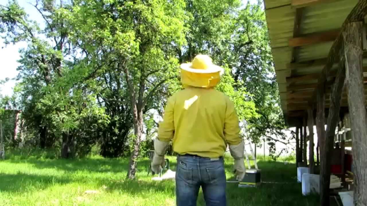 Hvatanje roja 9. Maj 2014 Palanka Full HD