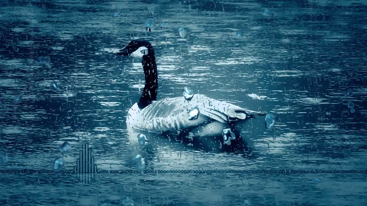 SoundLogic - Falling Rain