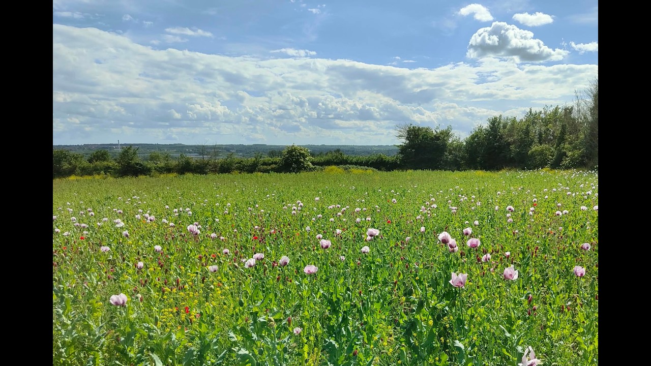 Neolithic Burial Chambers
