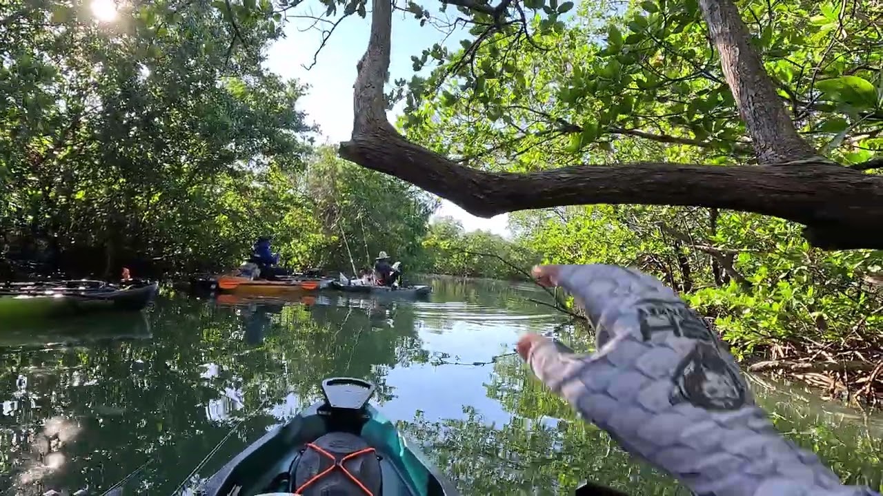 Kayaking Oleta River State Park