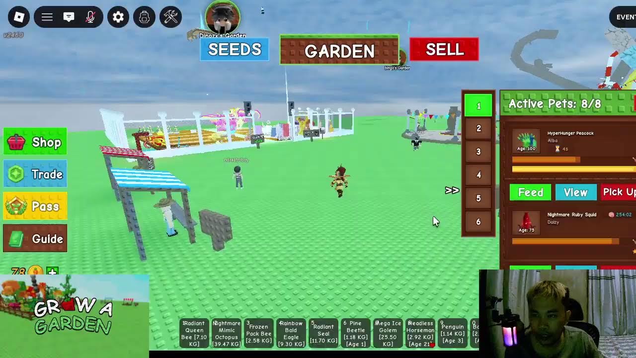 Roblox - Grow A Garden Practise Stream