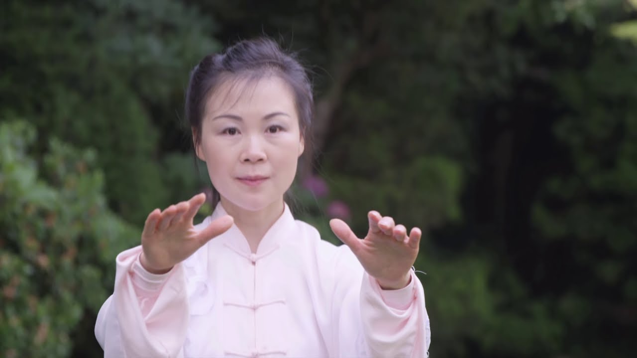 Tai Chi 24 form by Master Helen Liang  (members only) artistic view of form