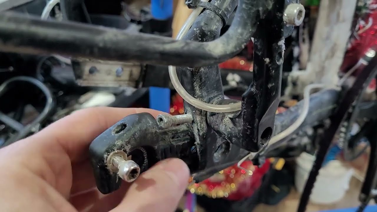 Marin Presidio 3: how the sliding dropout works for belt adjustment 
