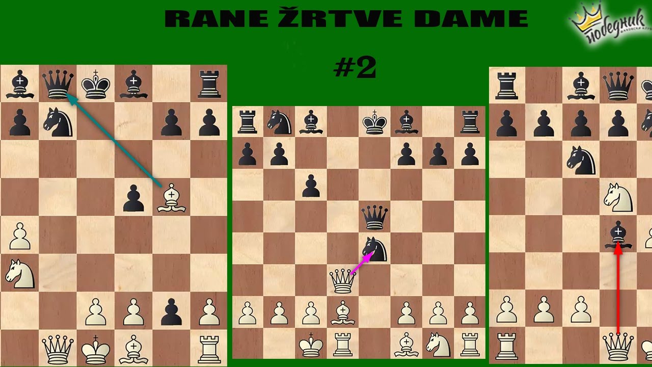 RANE ŽRTVE DAME #2 | IM Boroljub Zlatanović |