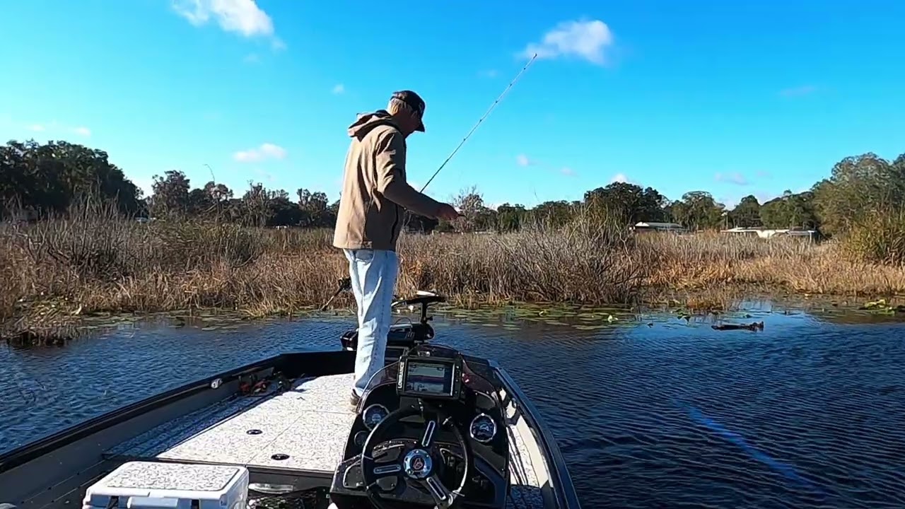 Windy Day in West Central Florida