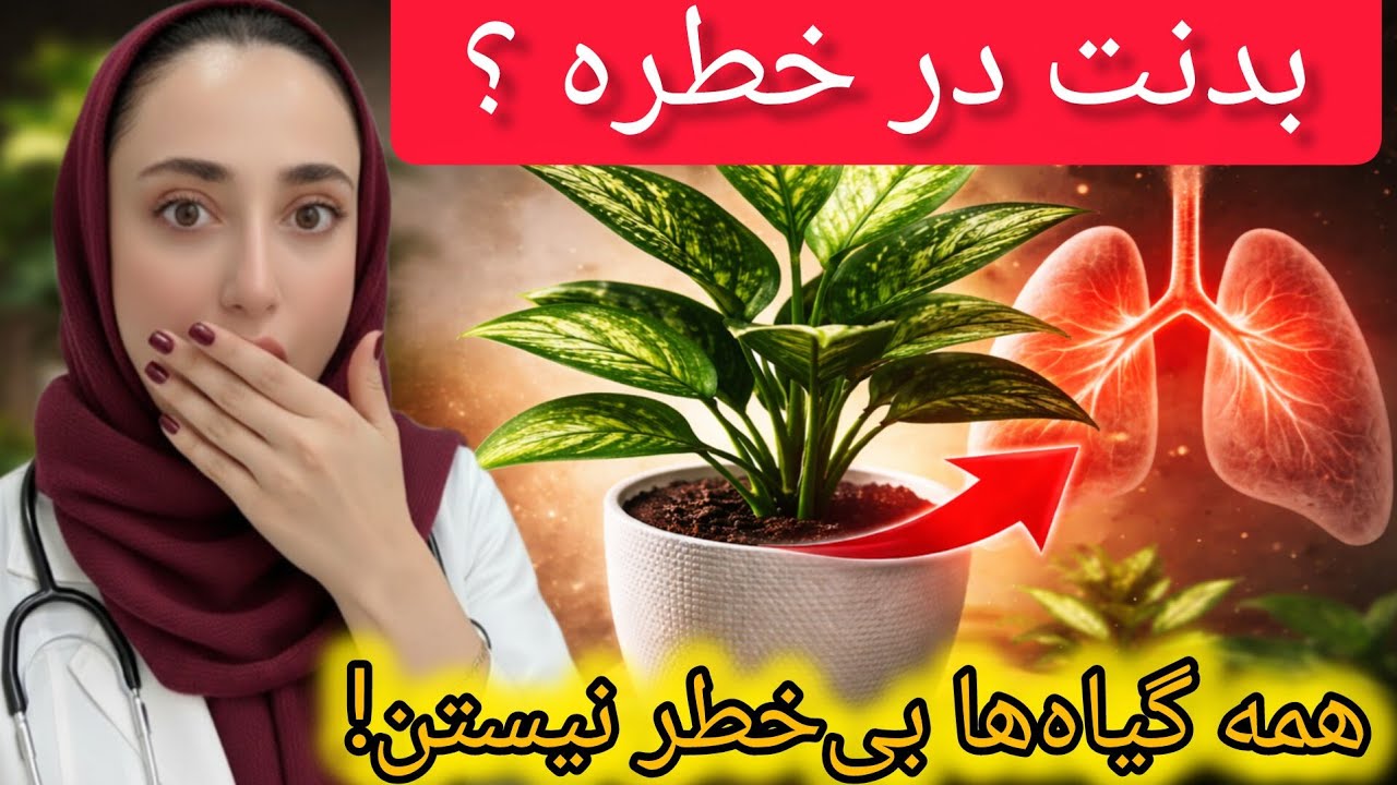 🪴حقیقتی که درباره گل‌های خونه‌ات نمی‌دونی! مفید یا خطرناک؟ 🌱